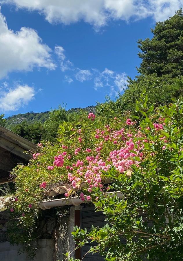 Andon Les Merisiers B&B - Thorenc المظهر الخارجي الصورة